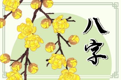 八字桃花命盘查询 紫薇免费八字排盘 十二宫查询