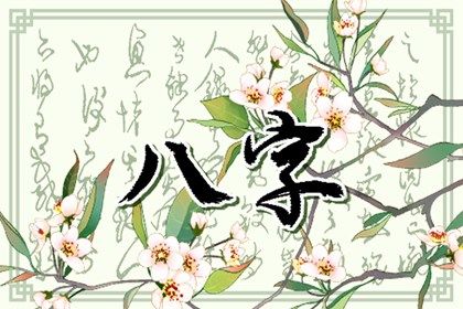 辛金对细节的偏执