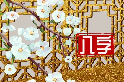 八字测评|运势排盘|元蒙排盘
