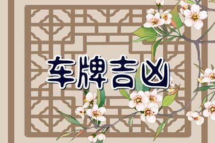 工具给的只是参考