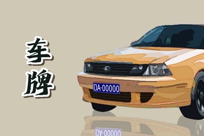 字母与数字分工