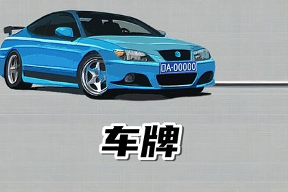 新能源车牌差异