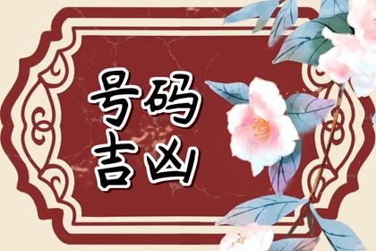 卦象如何取象