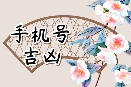 数理表怎么看