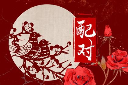 配偶宫被冲必离婚吗