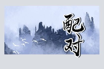 阳干日主看配偶的视角