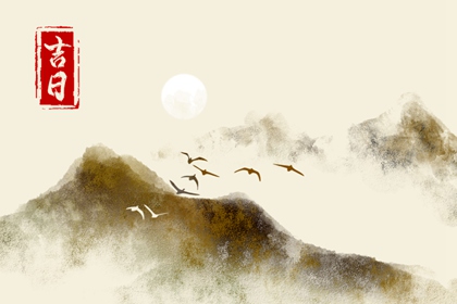 空白字段为何空
