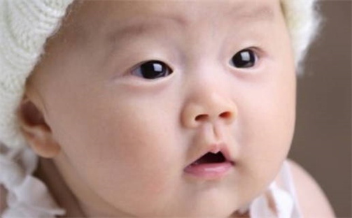八字企业起名 兔年女孩儿起名取名字大全 起名测算生辰八字 女孩免费取名字大全
