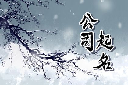 紫薇星斗数命盘|天天命盘|紫微合盘配对