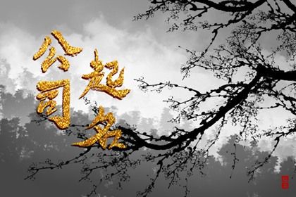 选字先看喜用还是读音