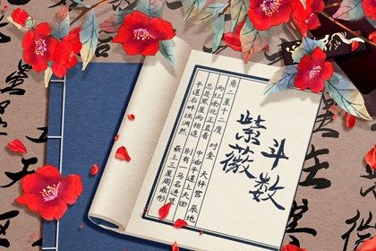摘要与详情的分工