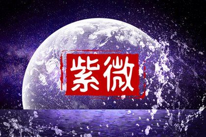 十二宫各管一块