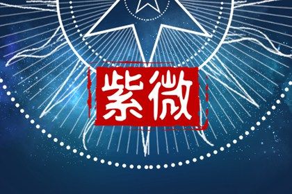 结果里的术语看不懂