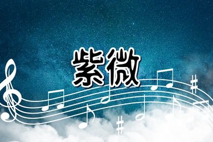 父母宫看的是什么