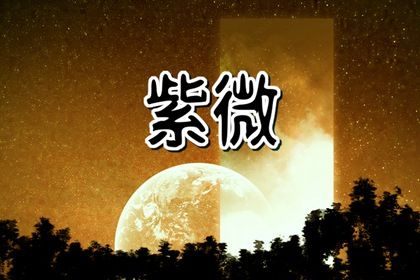 命宫与身宫的分工